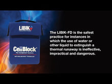 Load and play video in Gallery viewer, FD LIBIK